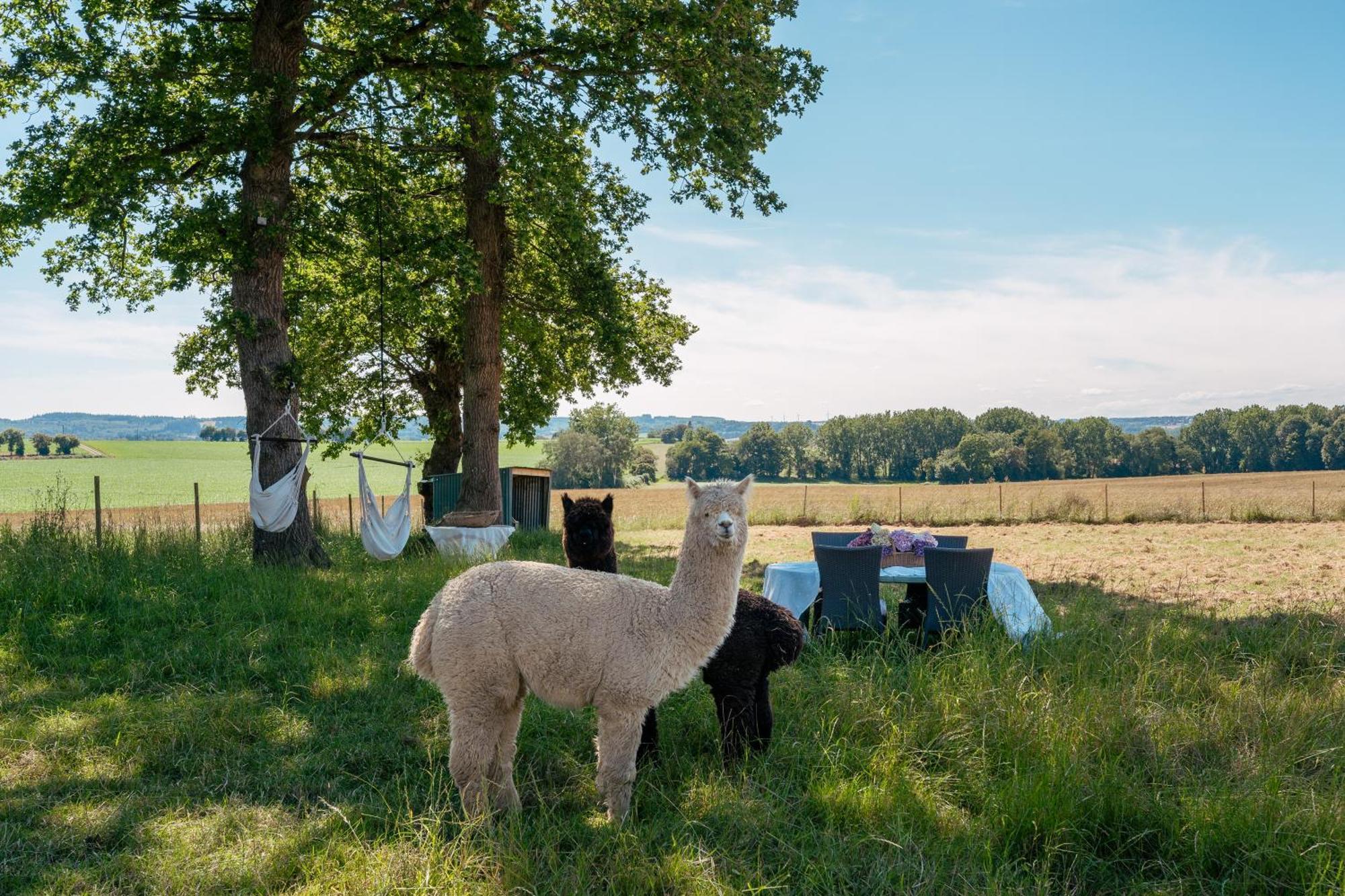 Demeures & Chateaux Le Clos Luly Neulliac Exterior foto